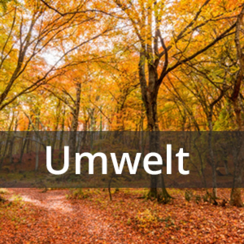 Umwelt